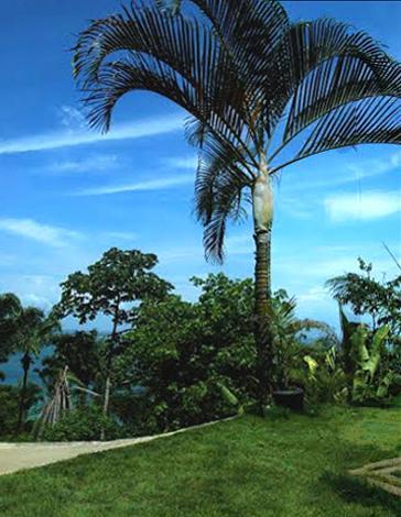 Casa Vista Al Mar Casa de Férias Morro de São Paulo